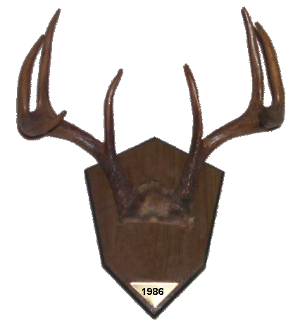 deerpage1/jd.gif (45563 bytes)